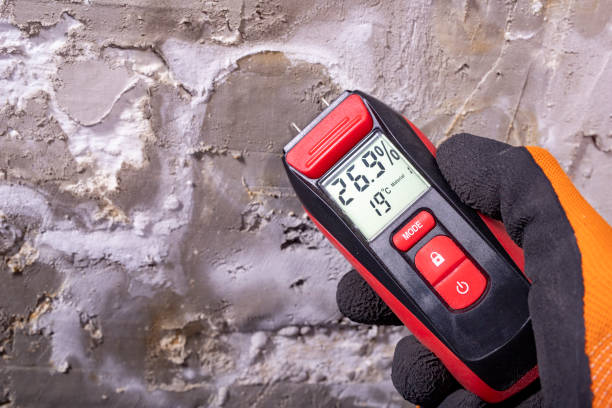 Best Residential Mold Remediation in Pine Mountain Clu, CA