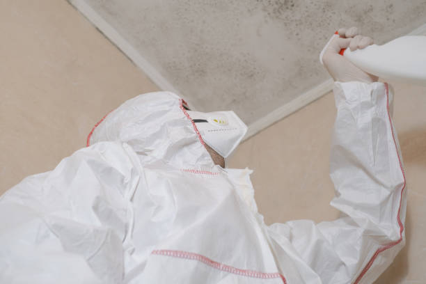 Best Industrial Mold Remediation in Pine Mountain Clu, CA